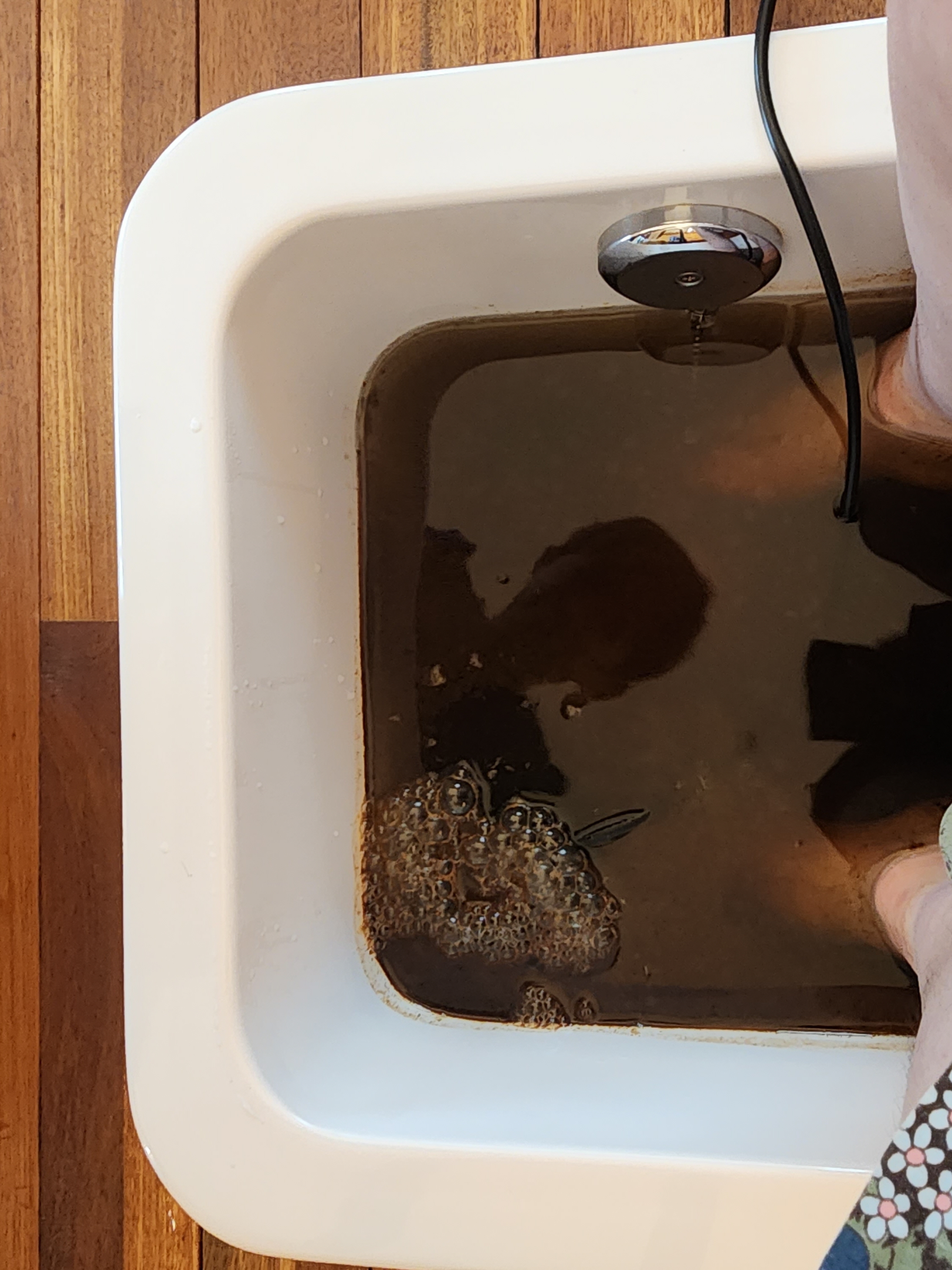 오하라타이스파 이미지