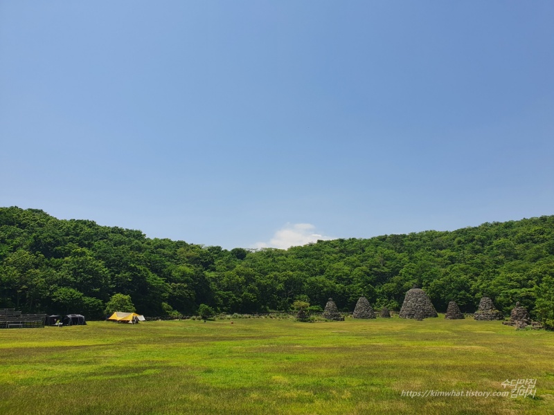 잔디밭