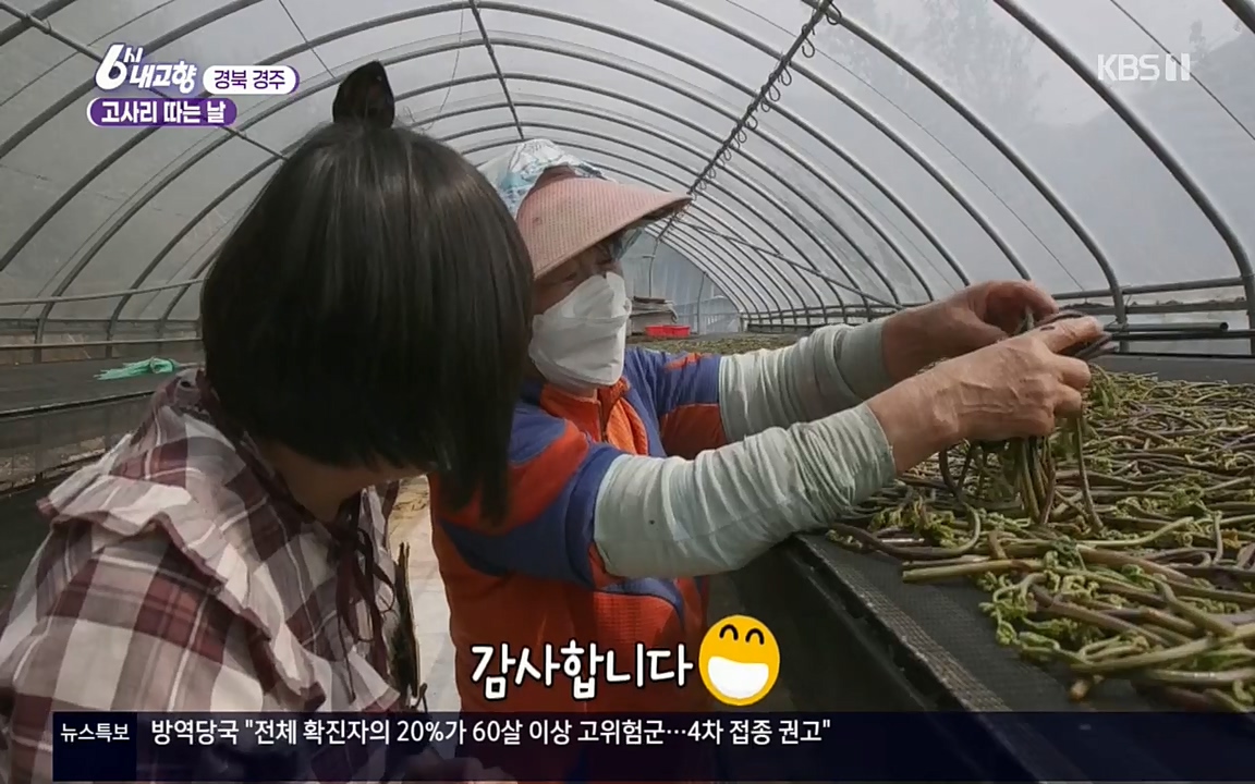 6시 내고향.E7518.220426p.H264-F1RST.mp4_20220504_190819.249.jpg