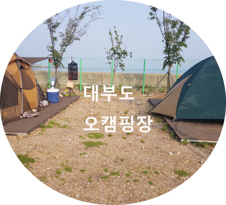  대부도 오캠핑장 후기 & 소개(갯벌체험 가능한 대부도 신생 캠핑장)
