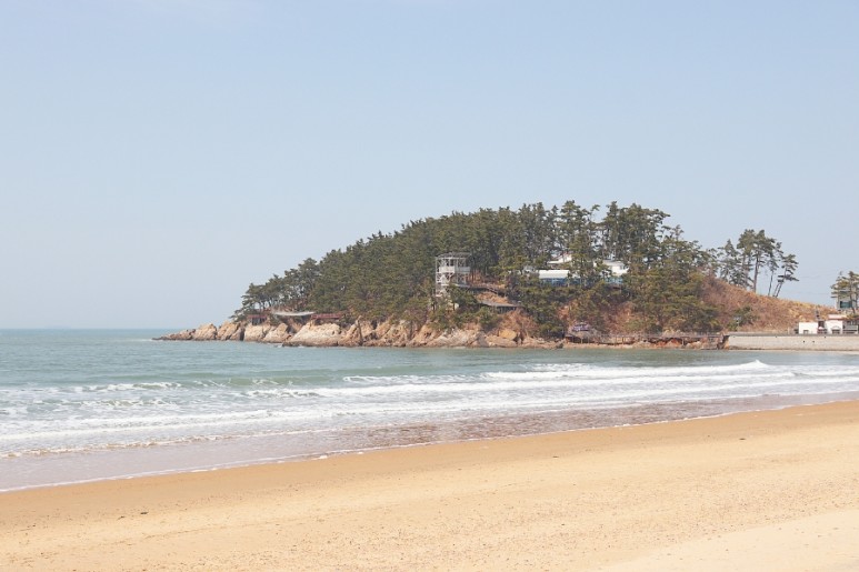 천리포 수목원 태안여행코스 놀거리 먹거리 가득 41