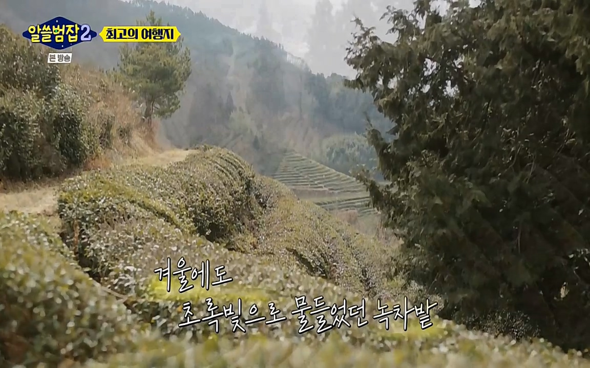 알쓸범잡 2.E16.220502p-NEXT.mp4_20220502_184228.970.jpg