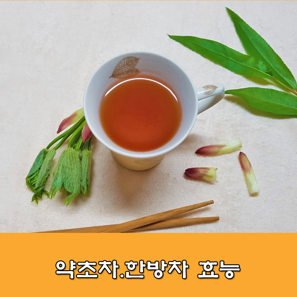  약초차.한방차.약초차효능.한방차 만드는 방법