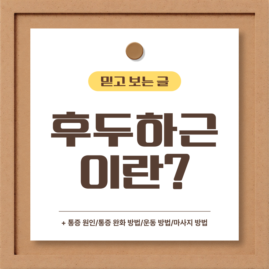  후두하근 이란?