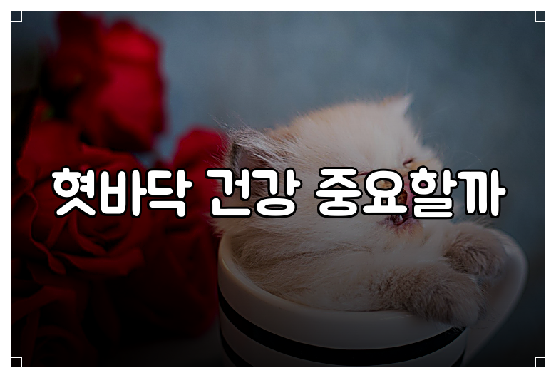 혓바닥 건강 중요할까