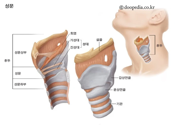 후두암 초기증상