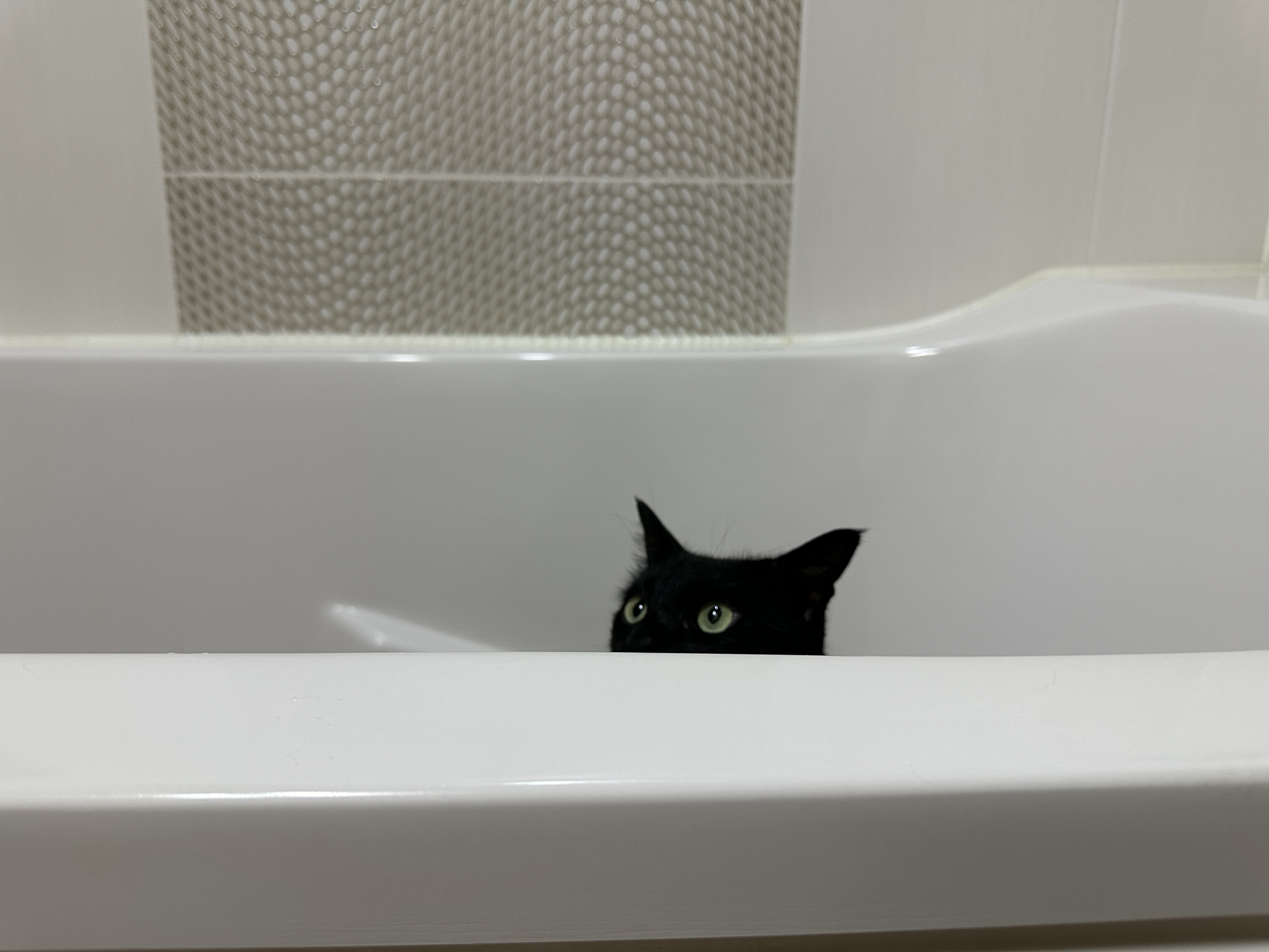 욕조_안에서_귀랑_눈만_보이는_건이_1