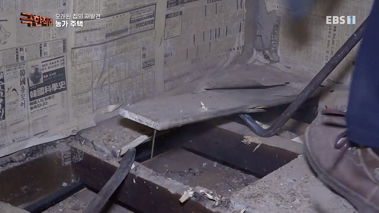 TV - 교육의 중심 EBS오래된 집의 재발견 농가와 도심 주택.mp4_20221120_151955.398.jpg