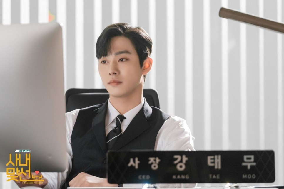 줄거리 정보 (안효섭x김세정) 드라마 사내맞선 출연진 14