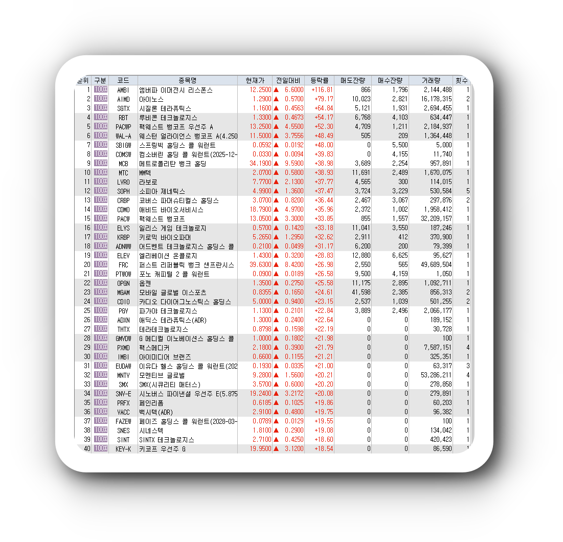  3월14일 미국주식 상승률 상위 종목 TOP 300