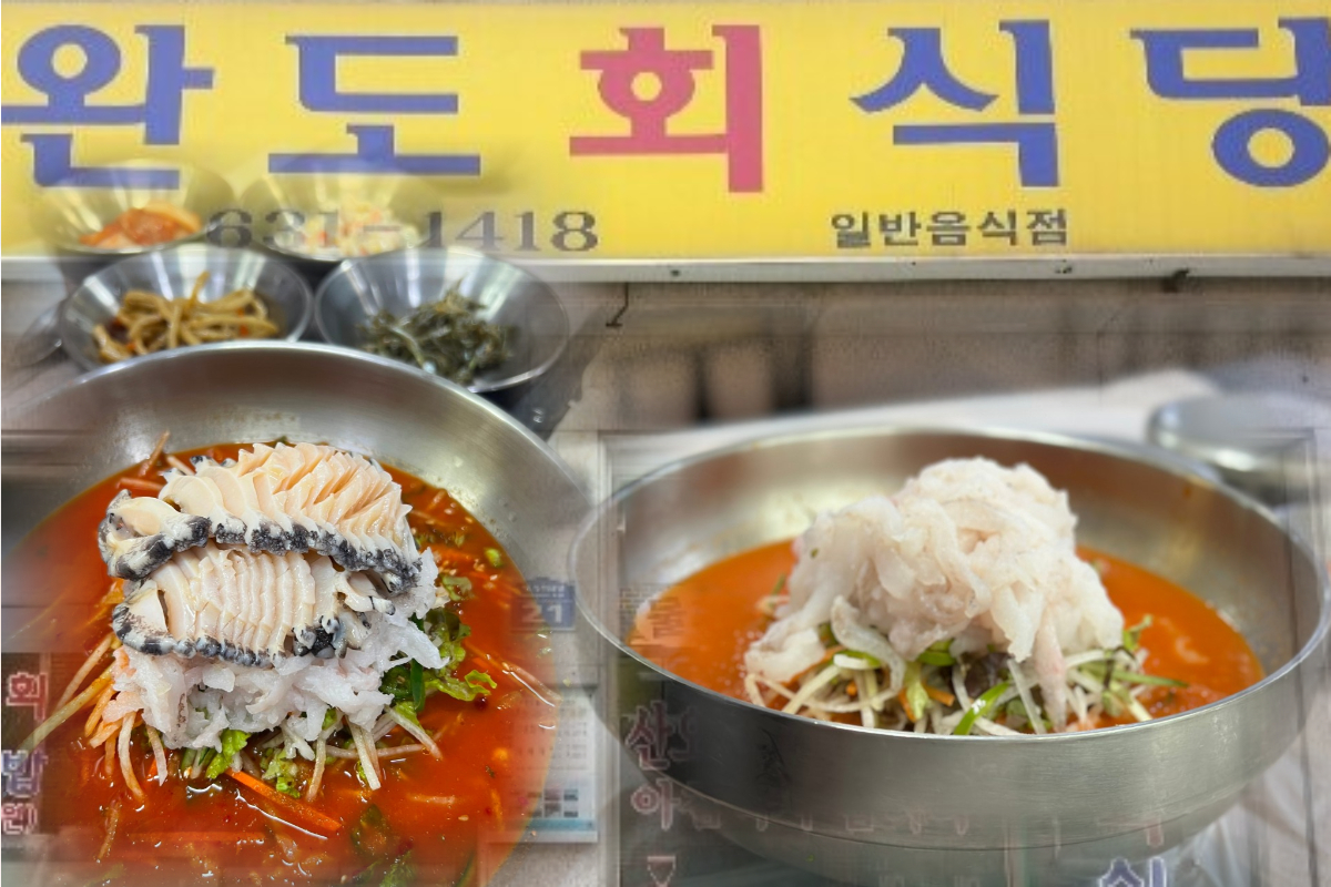  완도회식당 | 물회 맛집 | 속초 [음식점 추천]