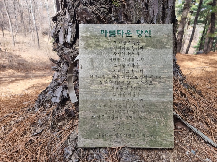 도시