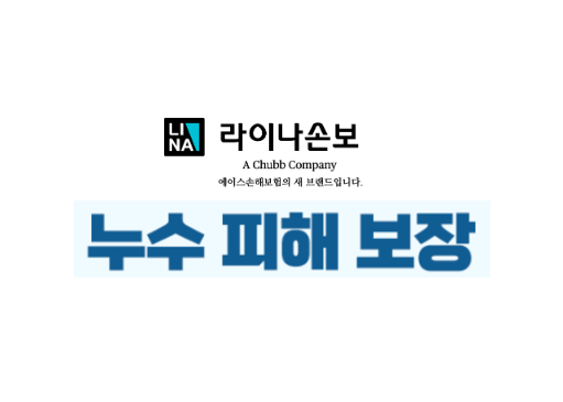라이나손해보험 누수보험