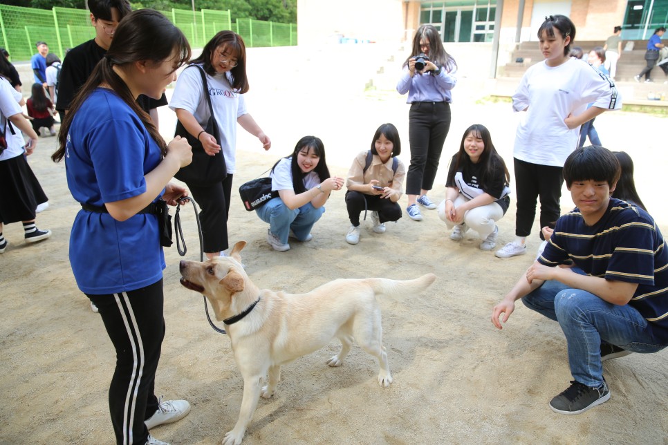 학과 정보를 알아보자! 동물보건복지학과 전망 및 7