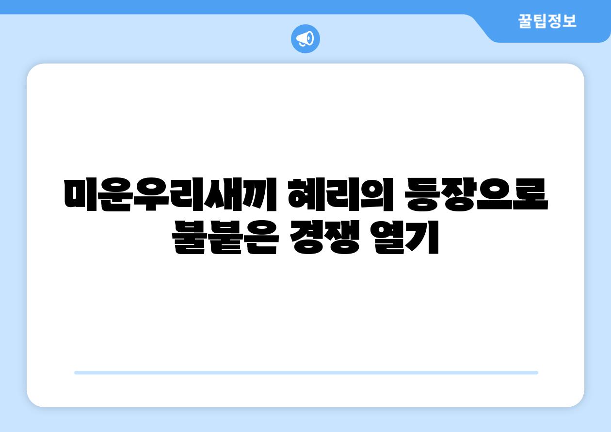 미운우리새끼 혜리의 등장으로 불붙은 경쟁 열기