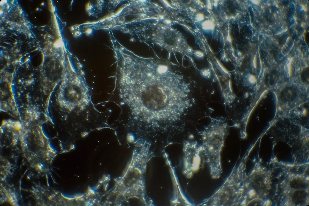 Microscopic