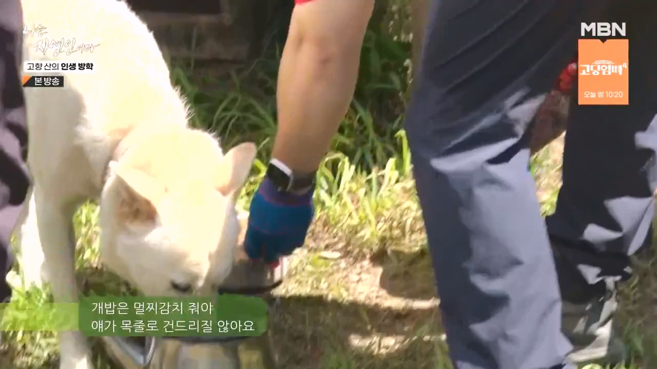 나는 자연인이다.E568.230824p-NEXT.mp4_20230824_203302.474.jpg
