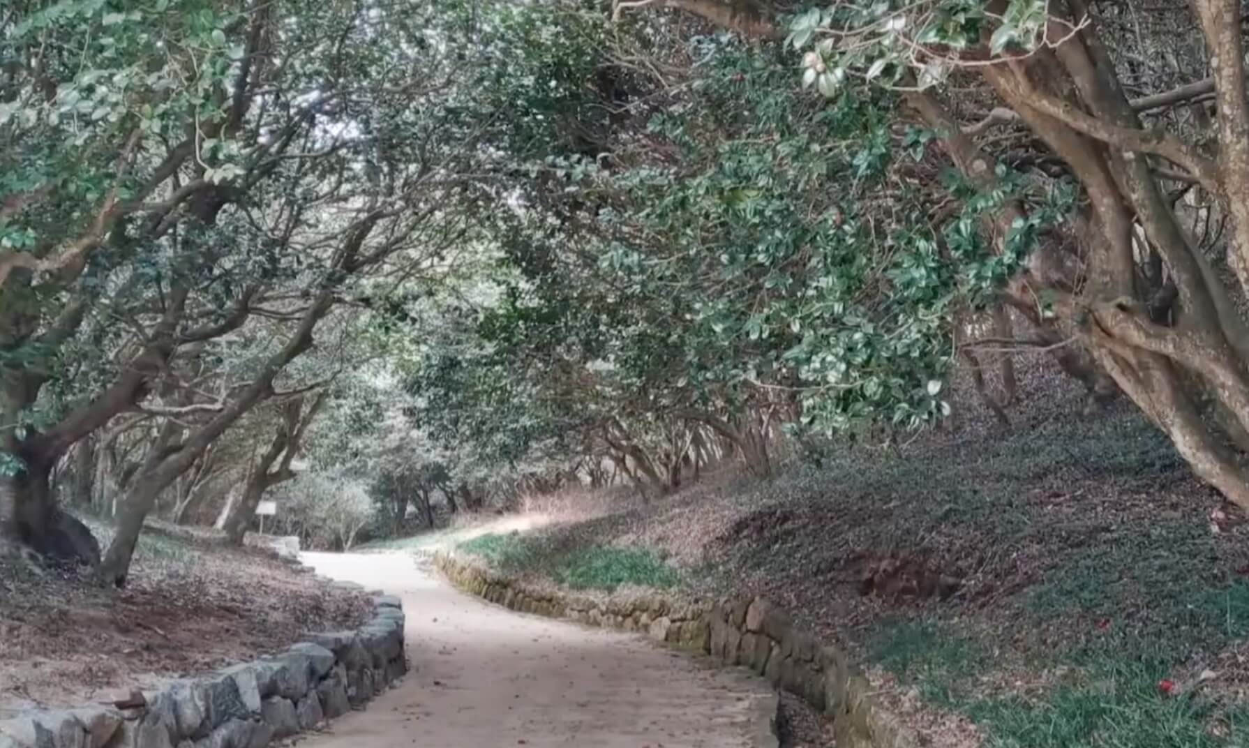 광양옥룡사지-산책