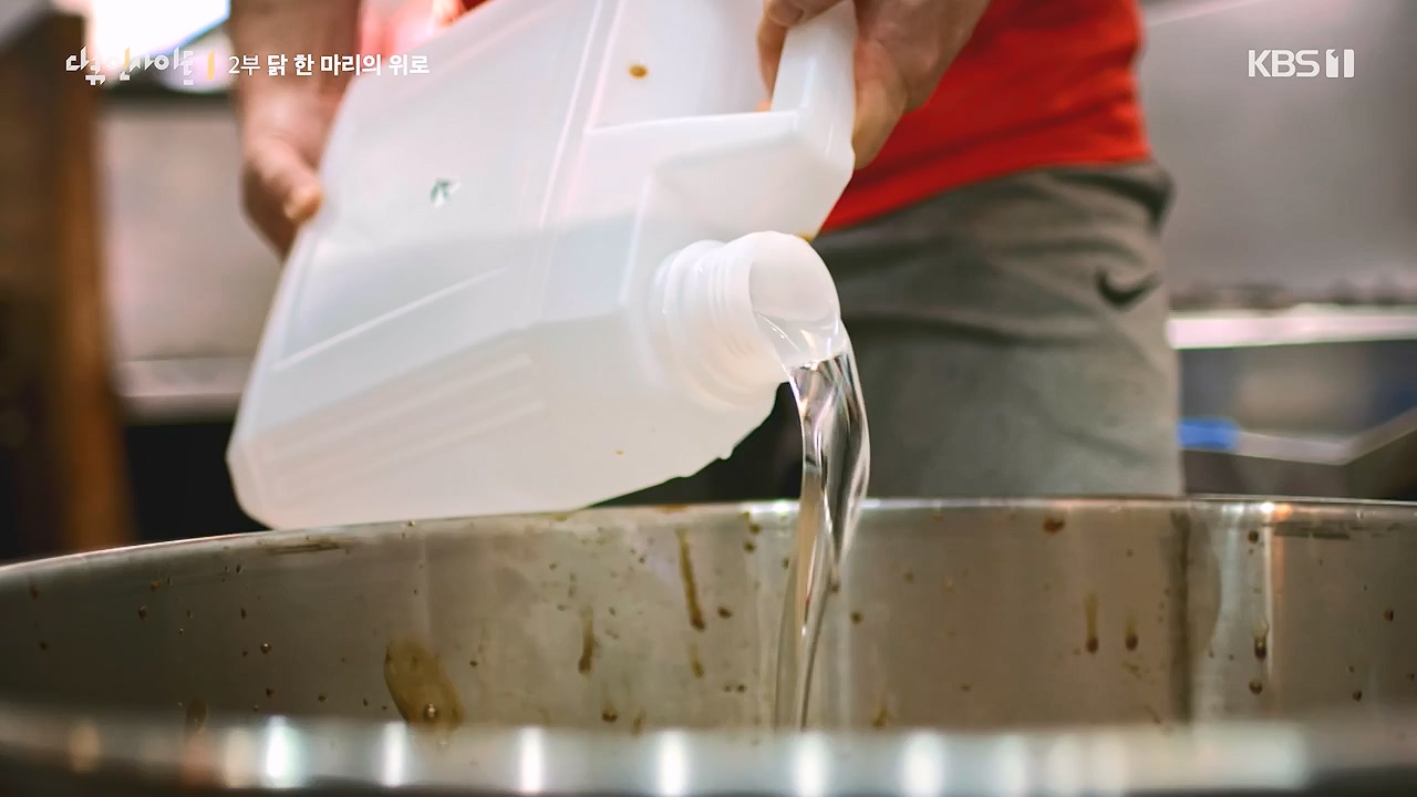 다큐 인사이트.E191.240532p-NEXT.mp4_20240601_163421.670.jpg