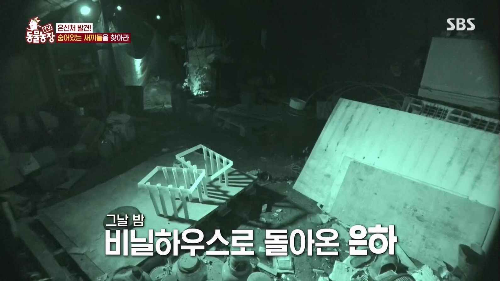 TV 동물농장.E1127.230702p.H264-F1RST.mp4_20230704_212711.290.jpg