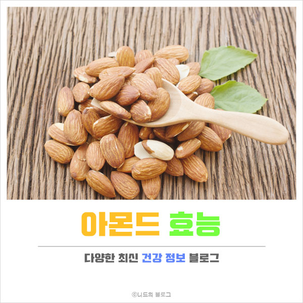  아몬드 효능
