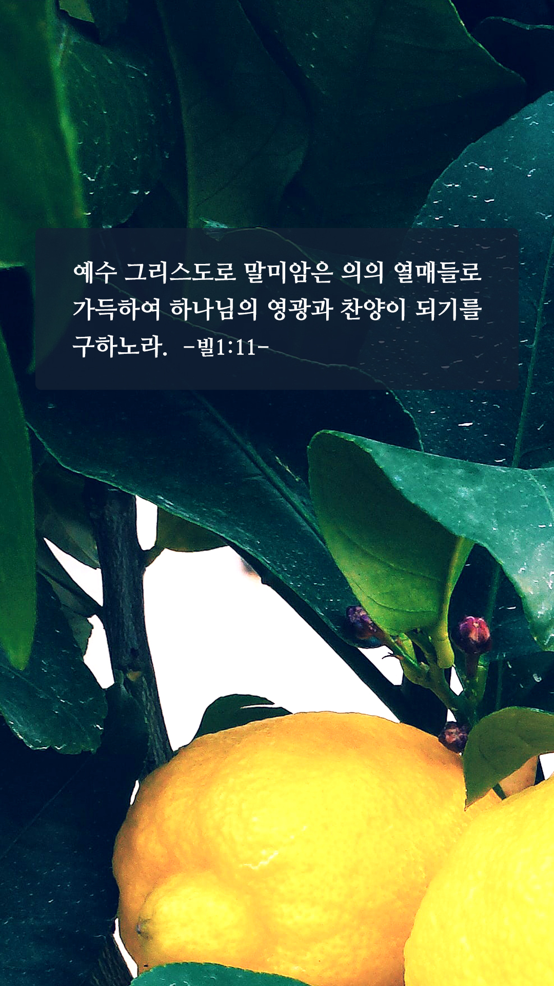 좋은 성경 구절