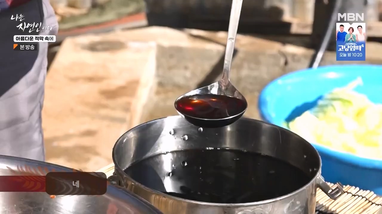 나는 자연인이다.E583.231207p-NEXT.mp4_20231207_195349.142.jpg