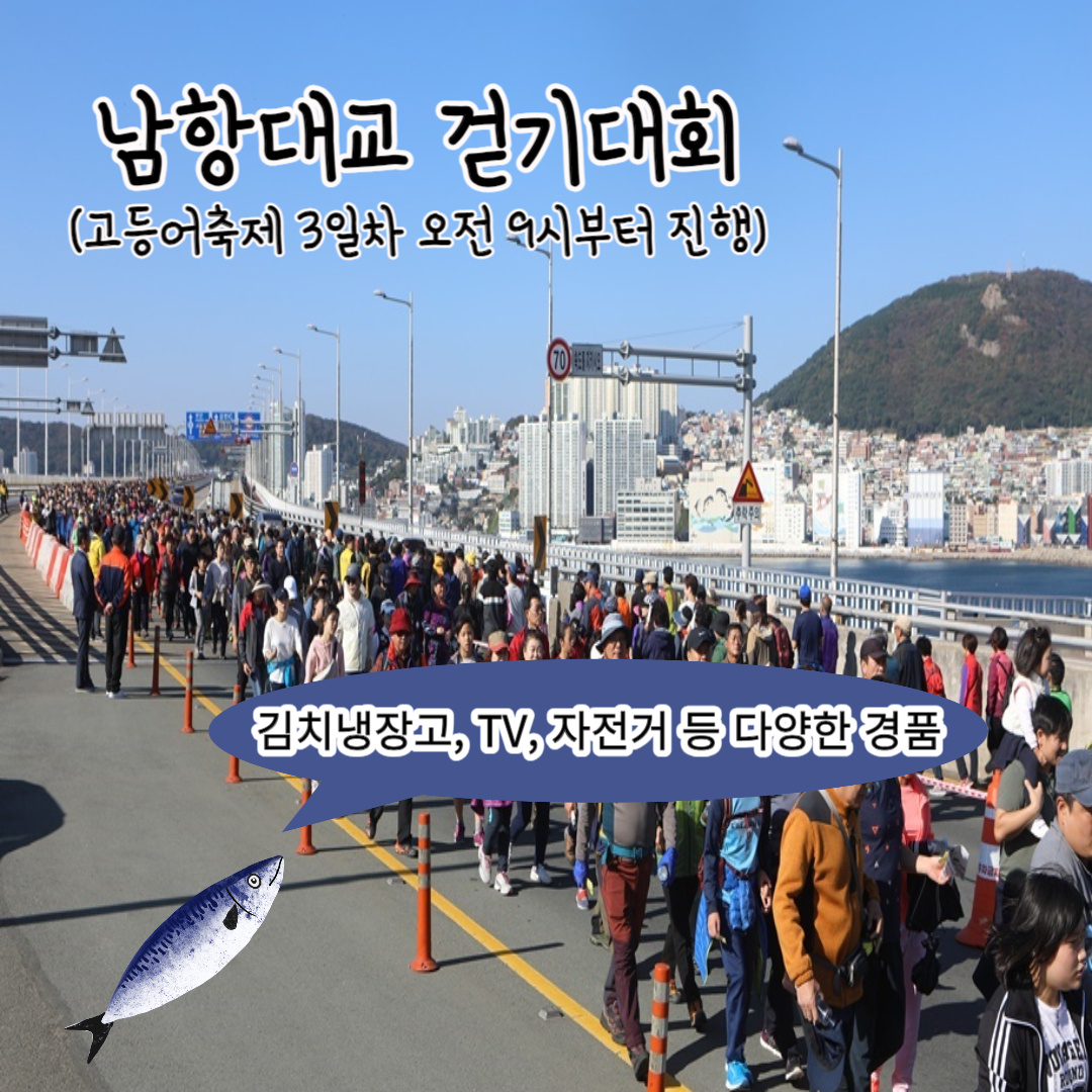 남항대교-걷기대회-정보