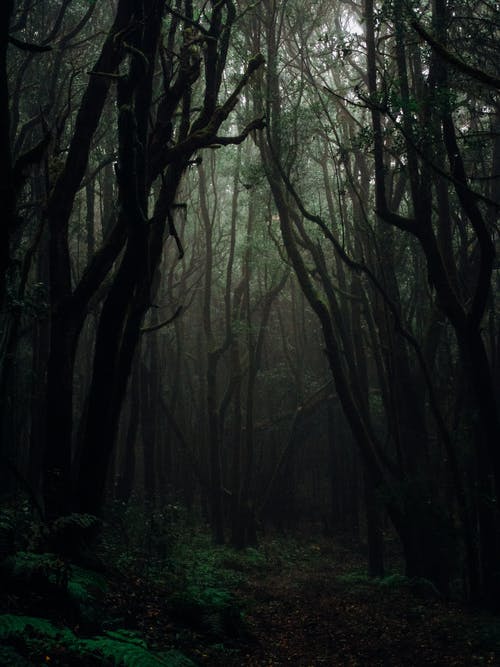  계묘년/갑신일주/일주론/남자,여자