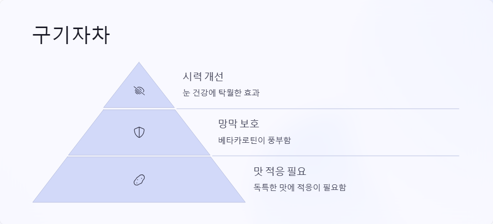 눈 건강에 도움되는 차 종류와 효능