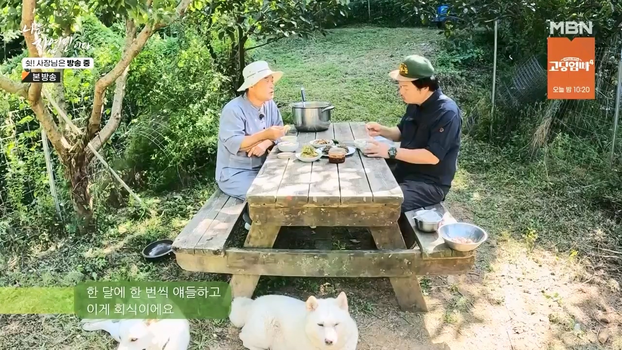 나는 자연인이다.E573.230928p-NEXT.mp4_20230929_174830.388.jpg