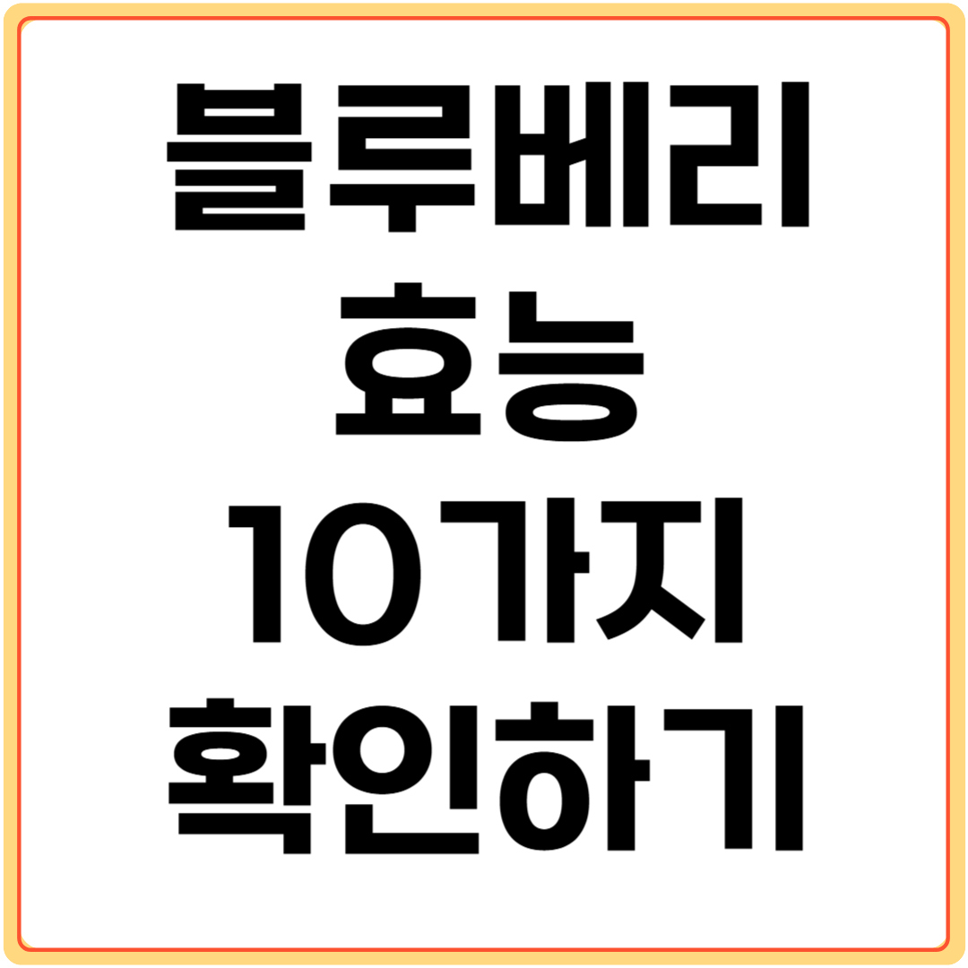 블루베리-효능-10가지-확인하기