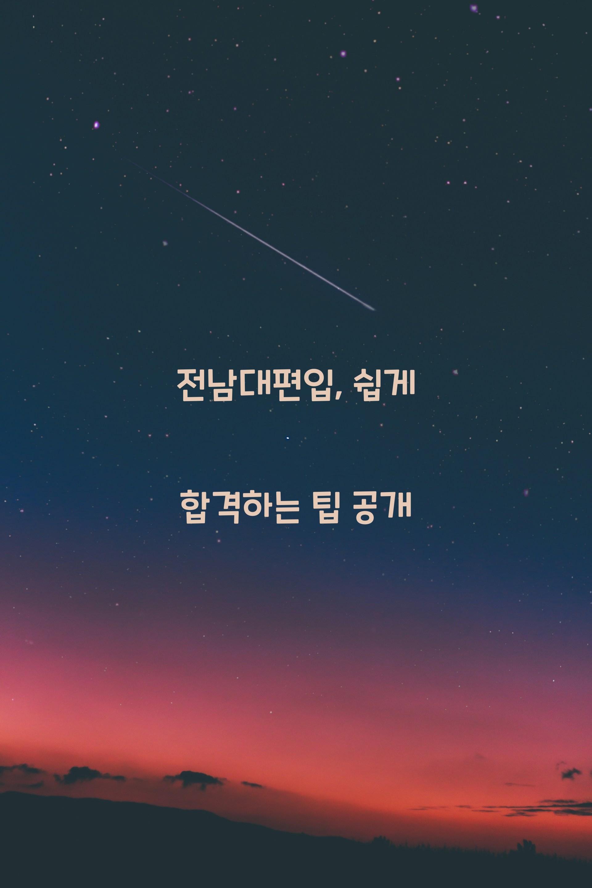 전남대편입