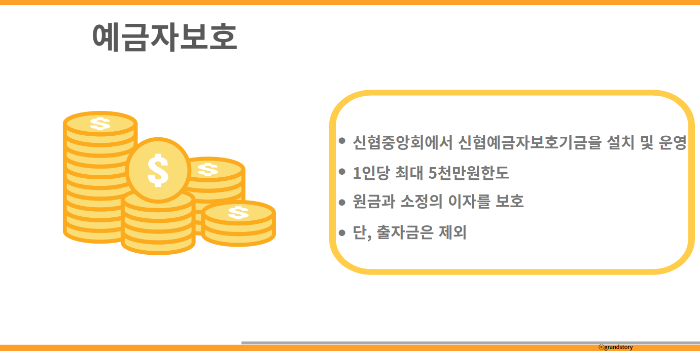 신협예금자보호한도