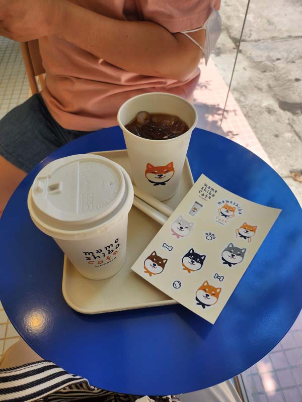 호치민여행_타오디엔카페_펫카페_마메시바_MAME Shiba