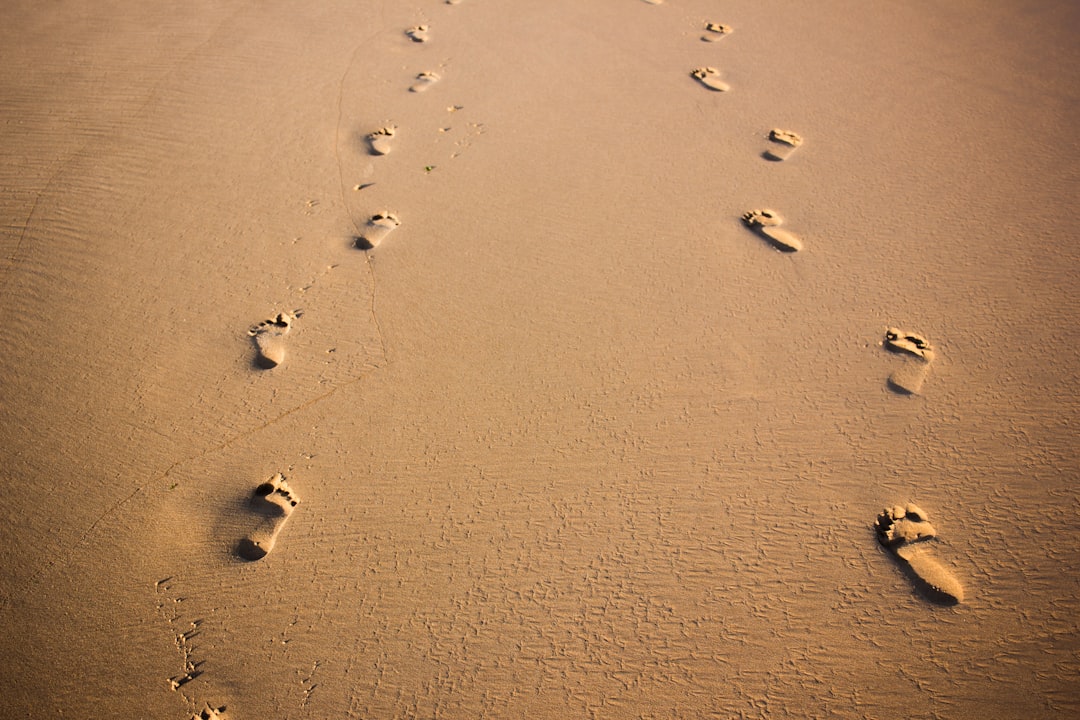 footprint
