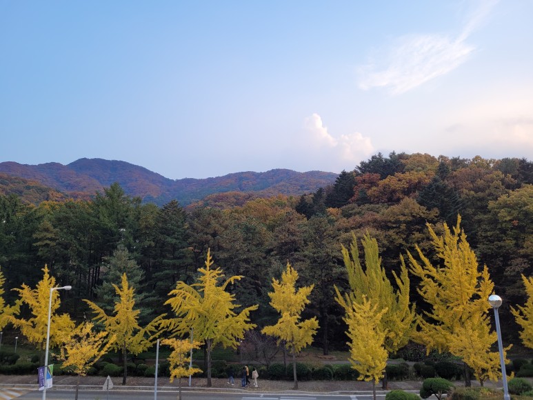 외대 글로벌캠퍼스 한국외대 1