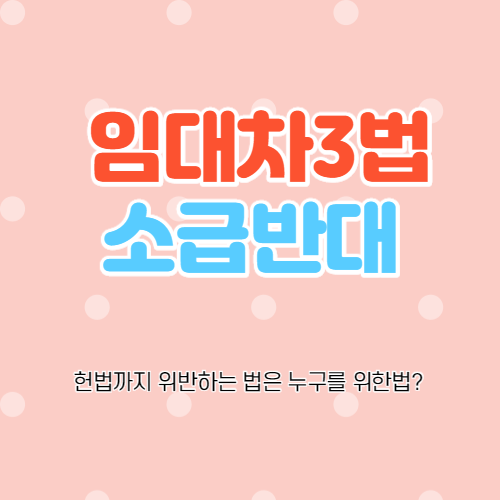  임대차 3법 소급 반대
