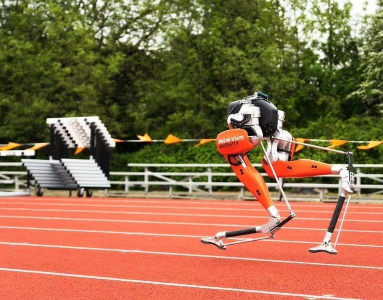 100m 달리기 세계 기록 보유 로봇 VIDEO: Robo-Ostrich Sprints to 100-meter World Record