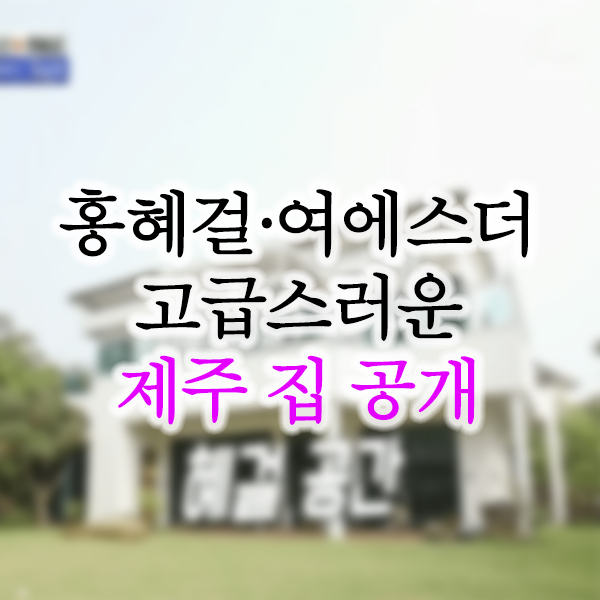  홍혜걸 여에스더 제주도 집공개 화제
