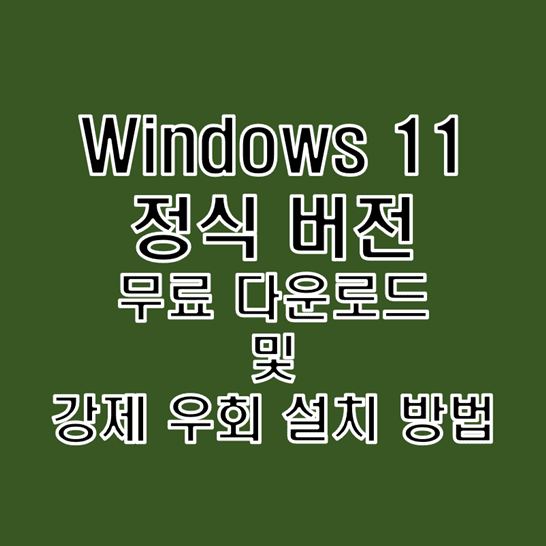 윈도우-11-정식-버전을-무료로-다운로드하고-부팅-USB를-만든-뒤-강제로-우회-설치하는-방법-썸네일