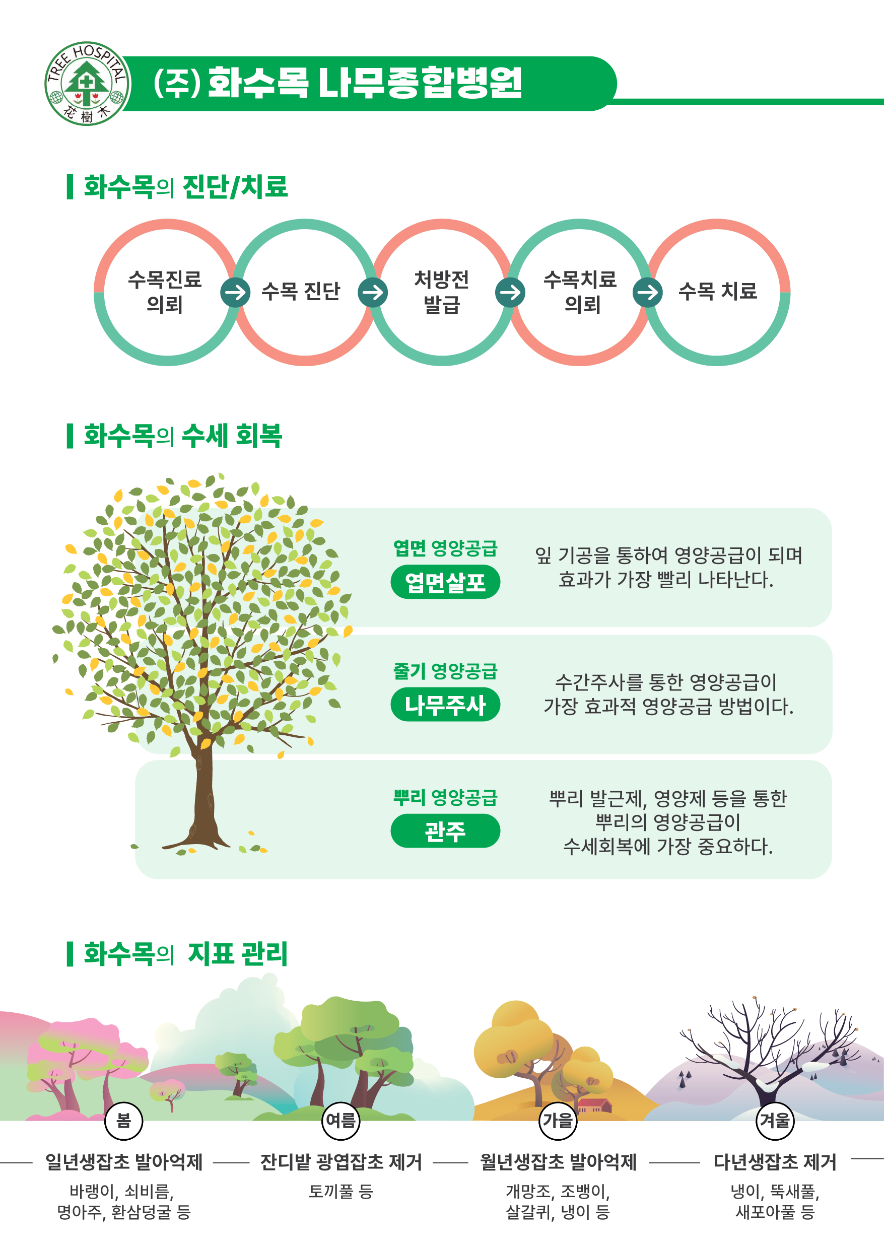 화수목나무병원의 진단 및 치료, 관리