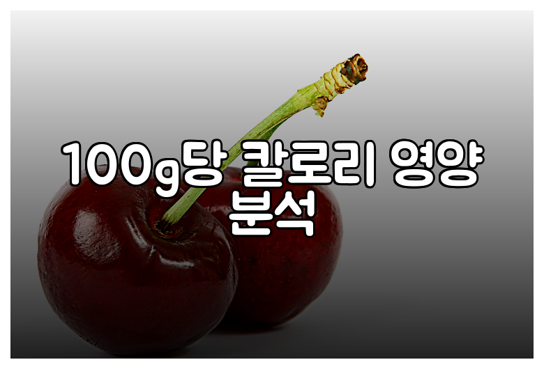 100g당 칼로리  영양 분석