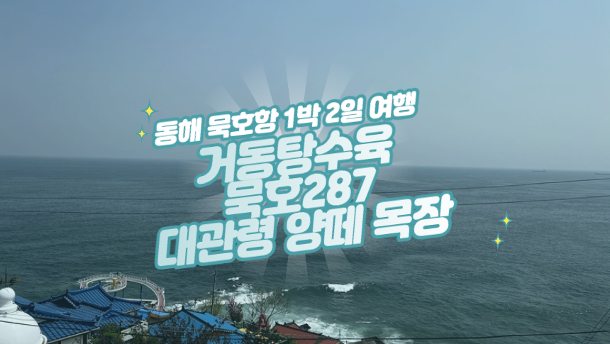  1박 2일 동해 묵호항 2일차 여행 코스 - 거동탕수육, 묵호287, 대관령 양떼 목장