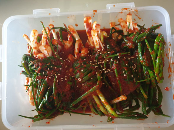  파김치 레시피, 적은 재료로 맛깔나게 만들기