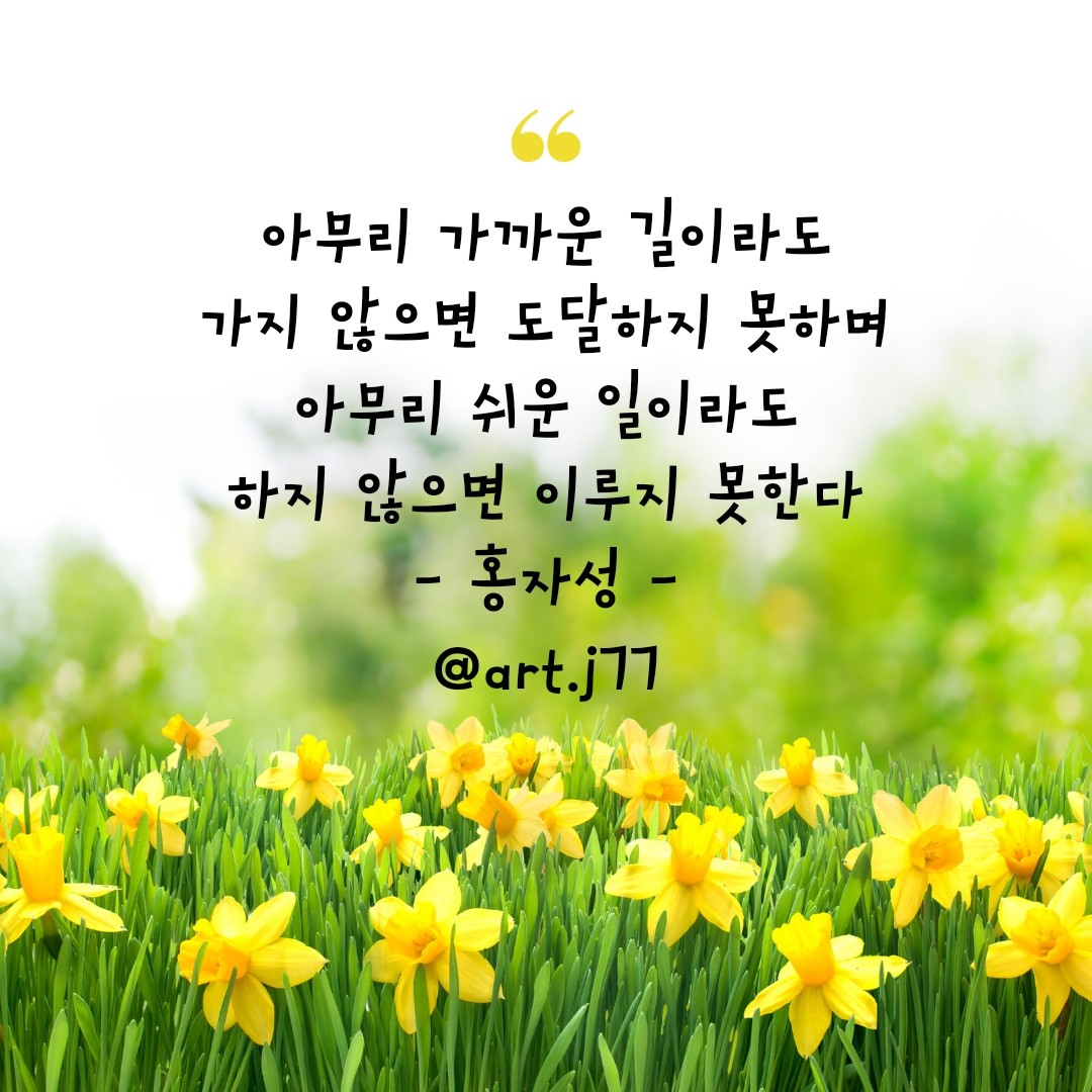  오늘의 좋은글293번째 성공하고 싶다면 지금 당장 시작하고 현재에 열중 해야 합니다