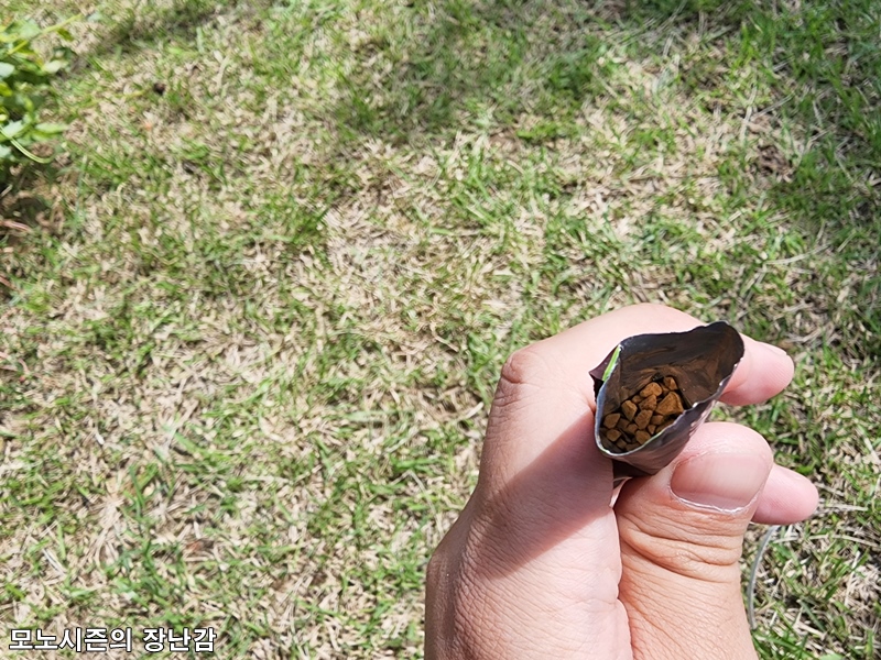 20220903_122538.jpg
