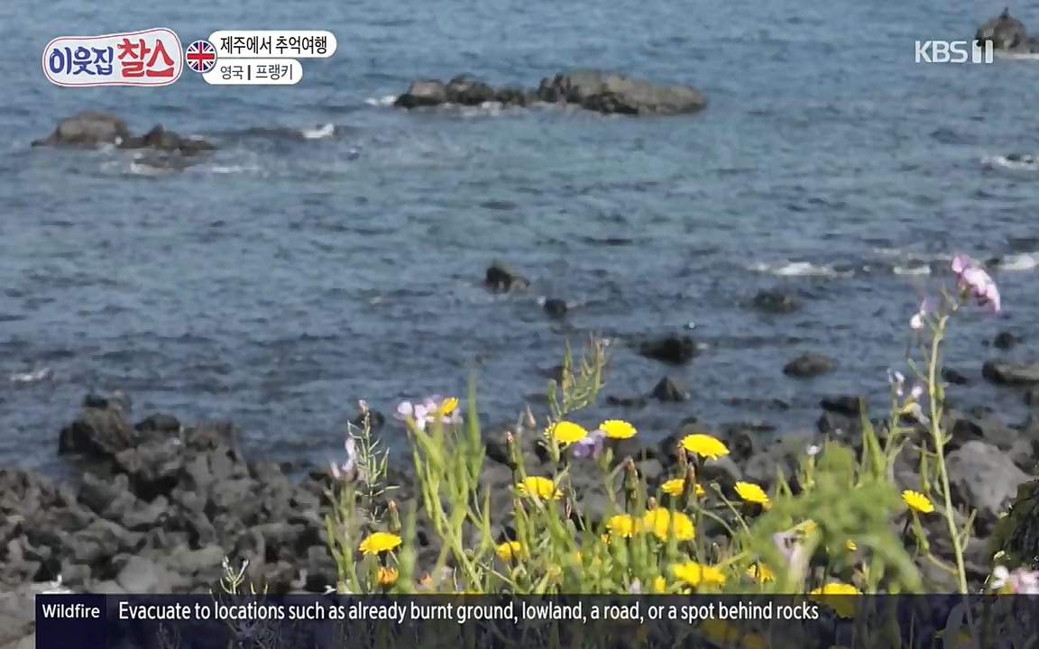 이웃집 찰스.E340.220532p-NEXT.mp4_20220601_175926.743.jpg