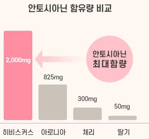 무궁핏-효과
