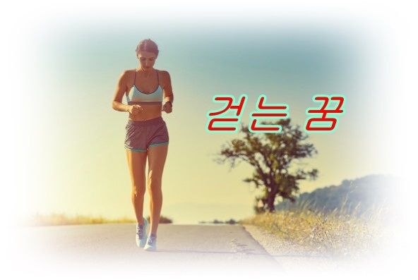  [무료꿈해몽]걷는 꿈;애인과산책하는꿈,큰길을걷는꿈,좁은길을걷는꿈,걷가가멈추는꿈,되돌아가는꿈,결혼식장가는꿈,아래로내려가는꿈 등.